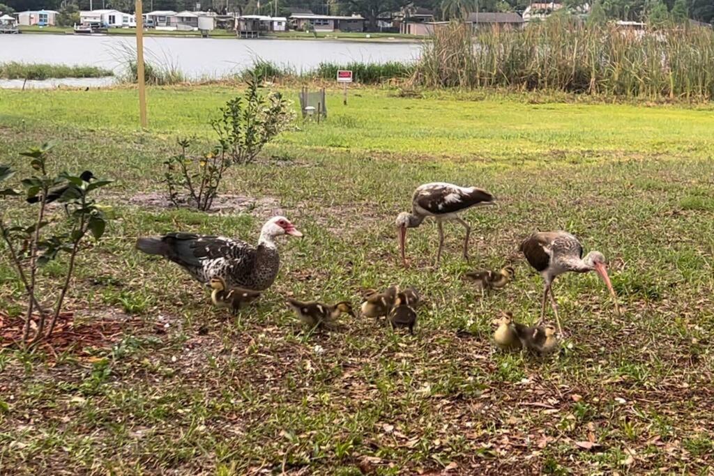 לייקלנד Lakeside Retreat - 3 Bedroom, 2 Bathroom House By The Lake מראה חיצוני תמונה
